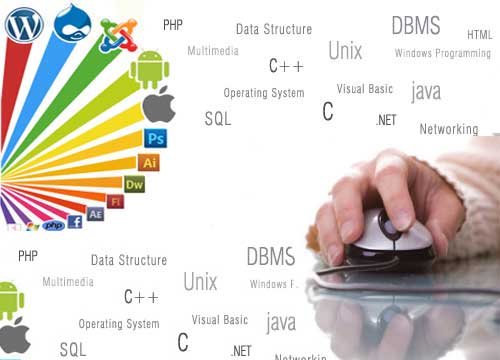 Department of Computer Application